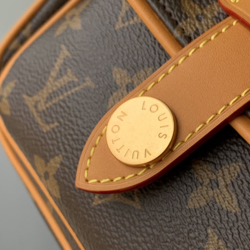 LV Satchel bags